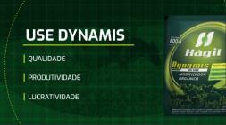 Dynamis - Qualidade, Produtividade e Lucratividade!